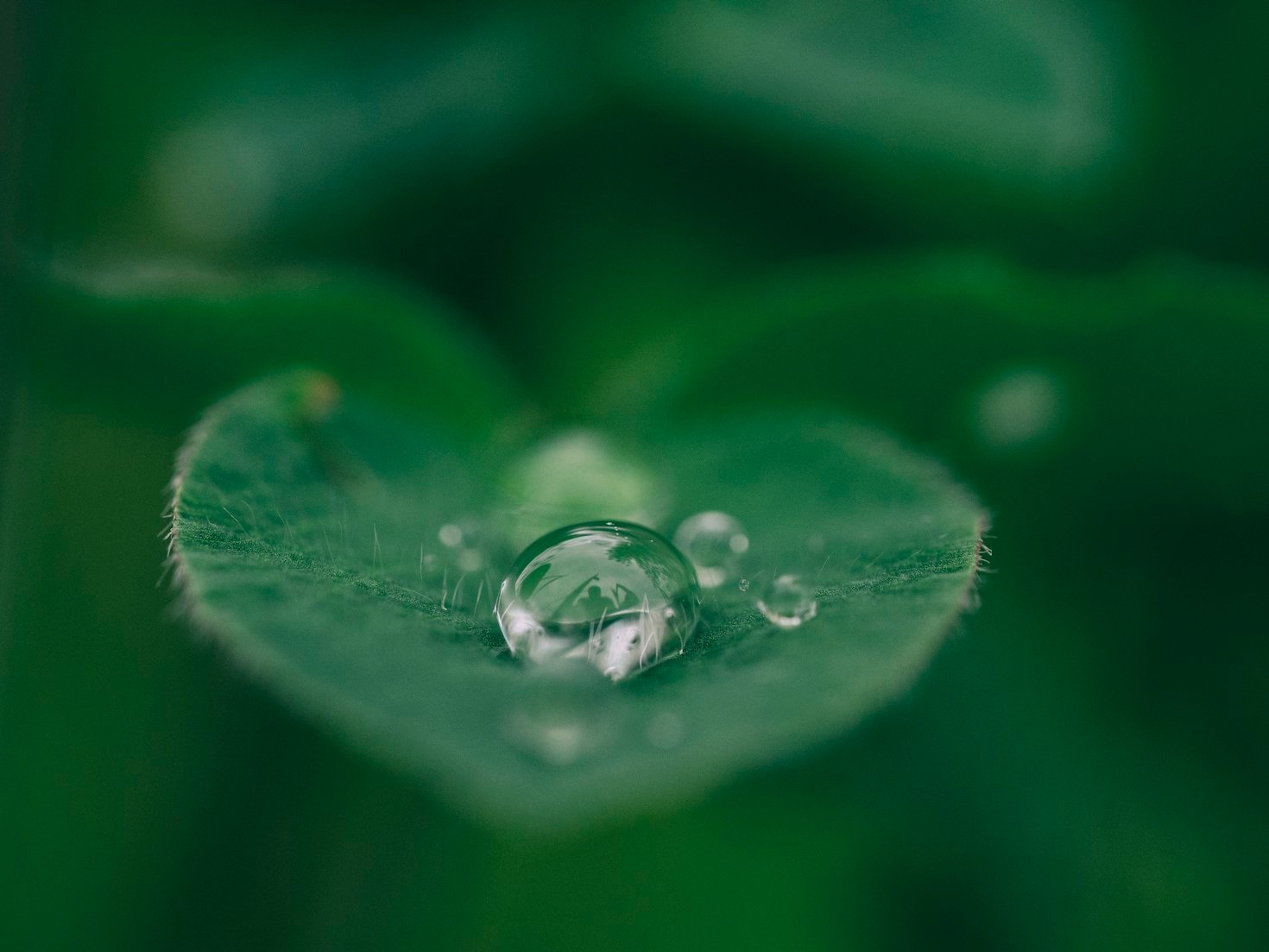 Creating Habits That Support Long-Term Health
